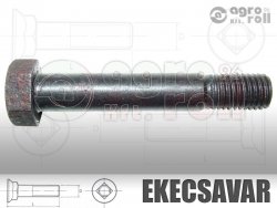 Nyírócsavar M14x75 Lemken 10.9