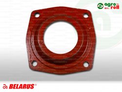 Hátsó féltengelytok fedél IMP