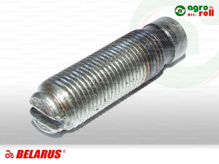 MTZ Csavar 175 szelepállító