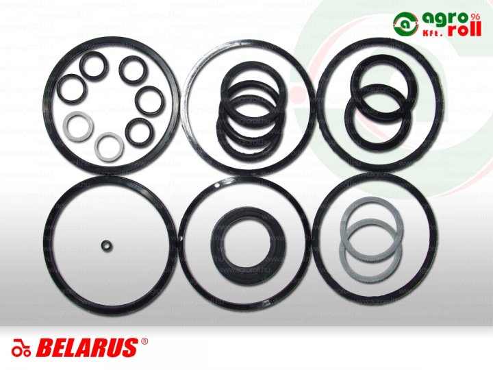 C-100 javító garnitura ROS-GUMA